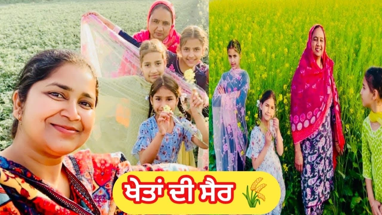 ਚਾਹ ਤੋਂ ਖੇਤਾਂ ਤੱਕ ☕🌾 | Evening Walk in Fields | Punjabi Vlog | #kaurneena 