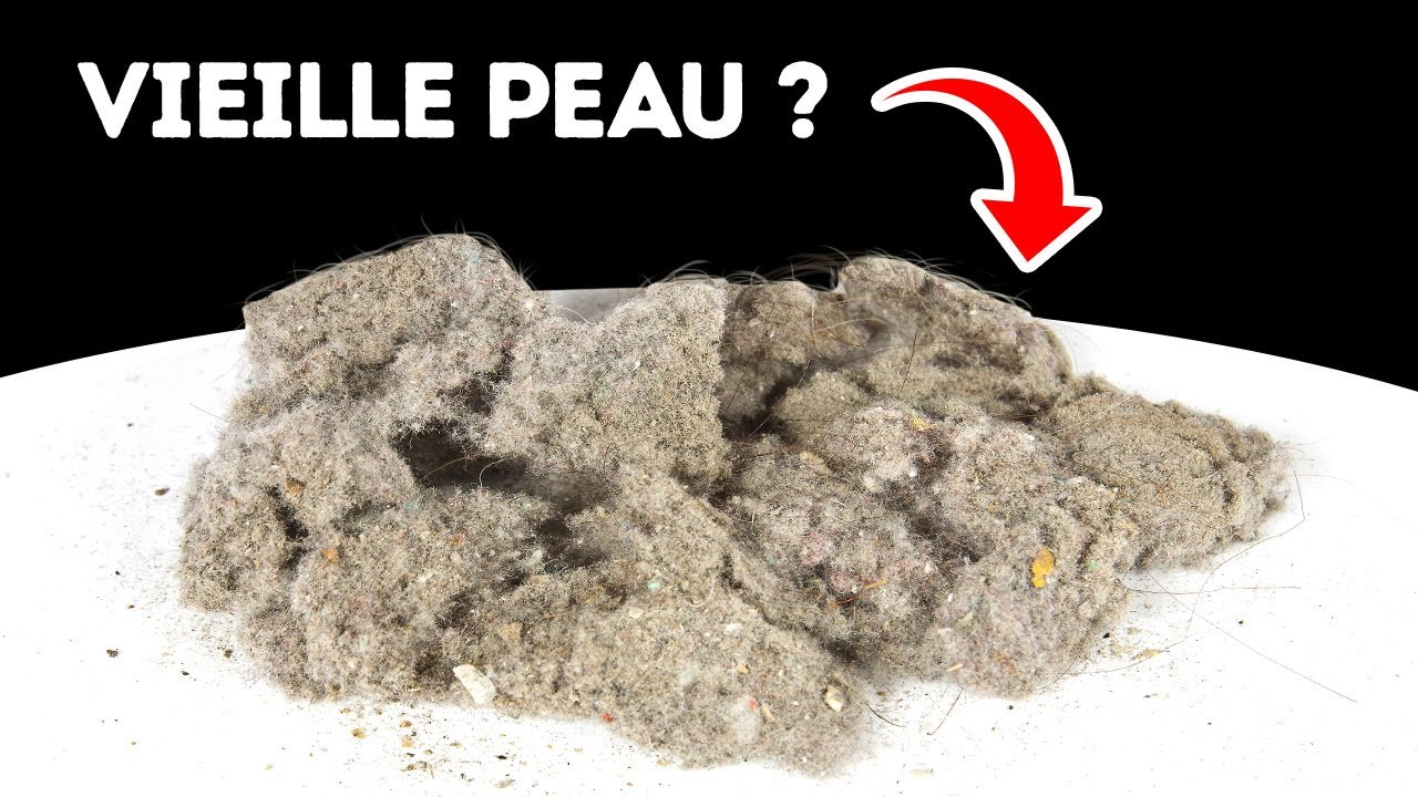 La poussière de ta maison est-elle principalement constituée de peaux mortes ?