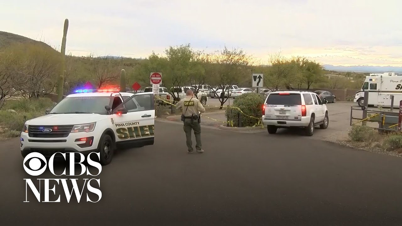 3 mountain lions killed after feeding on human remains