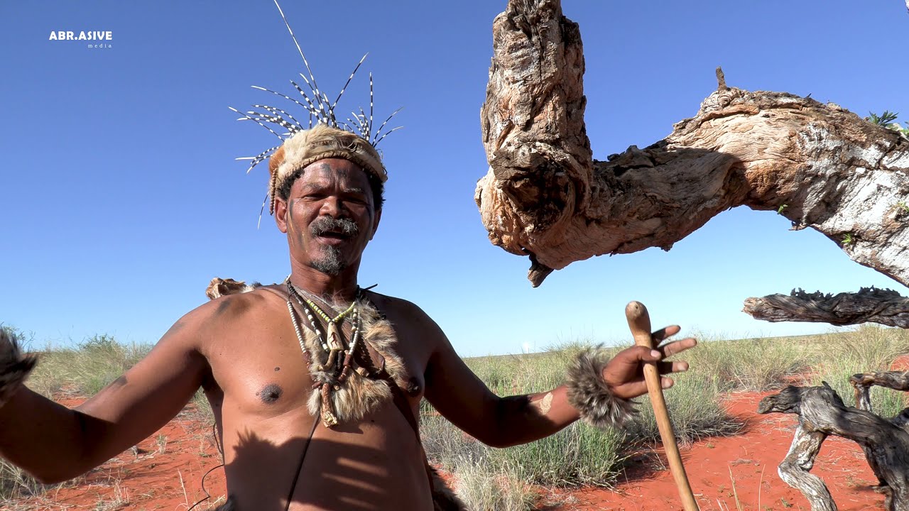 Boscia albitrunca | Traditional Medicine |  !&rsquo;Aru |Khuisi Piet Berendse