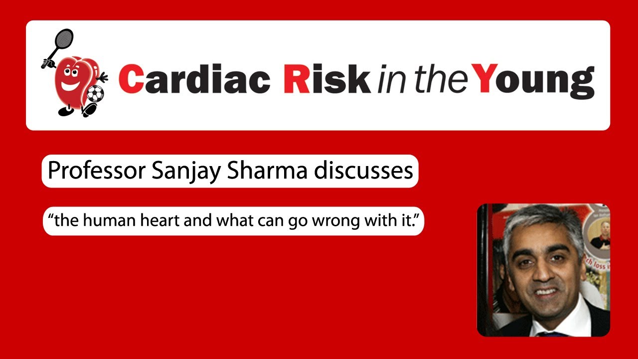 How the heart works