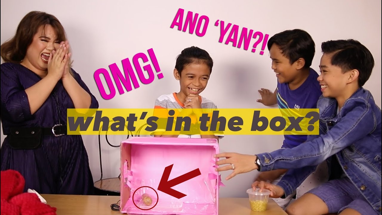 TNT BOYS PLAY WHAT'S IN THE BOX CHALLENGE! (SUPER LAUGHTRIP!!) | HelenOnFleek
