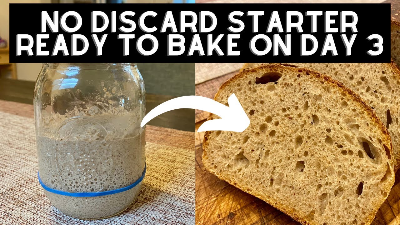 How to Make A Sourdough Starter With ZERO WASTE - NO DISCARD, NO WEIGHING
