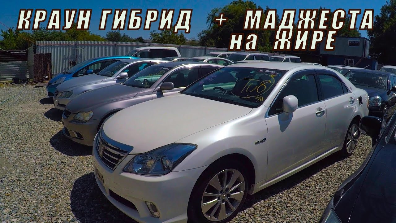 КРАУН ГИБРИД, СТВОЛОВОЙ 200 КРАУН, МАДЖЕСТА НА ЖИРЕ