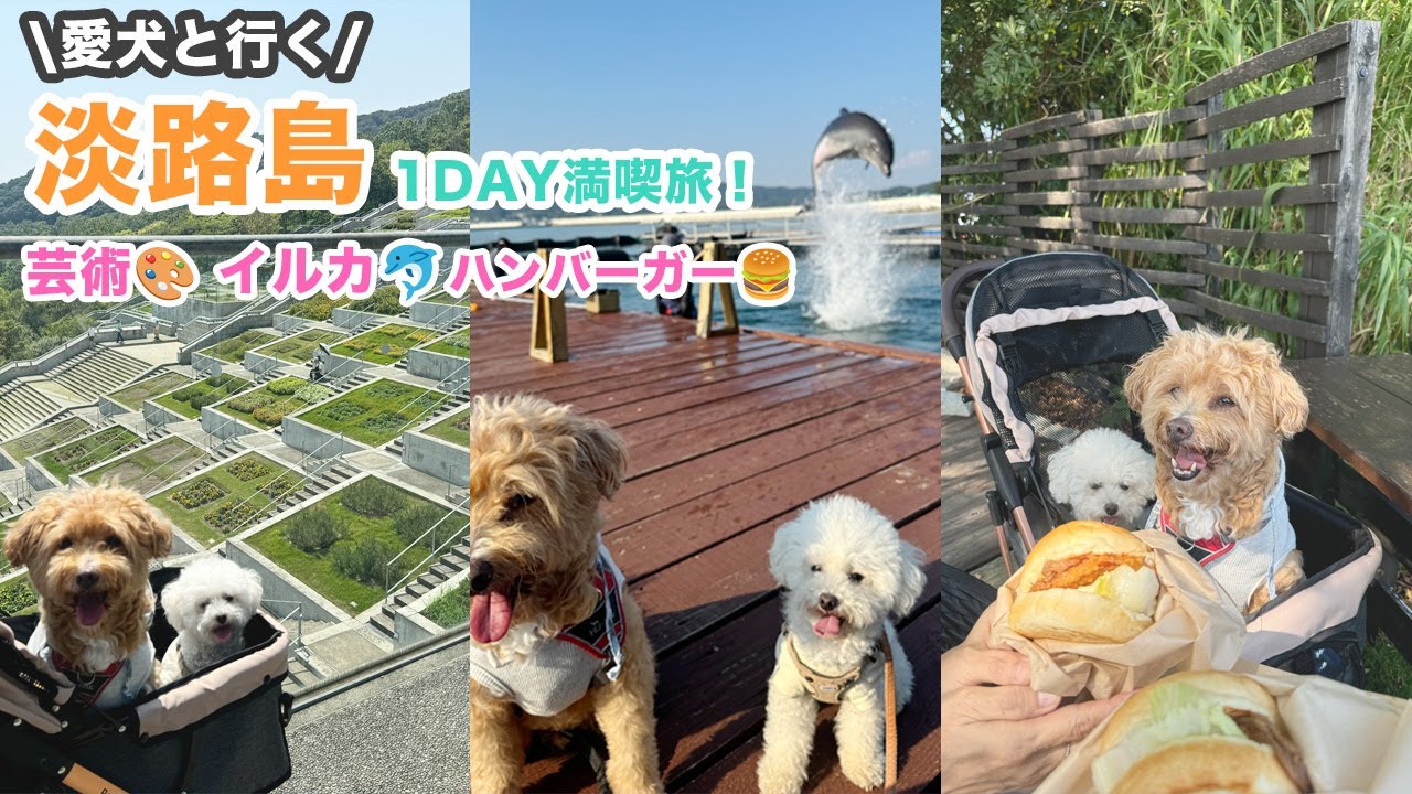 【淡路島】1日で満喫できる！犬連れにおすすめな隠れおすすめスポットもご紹介！