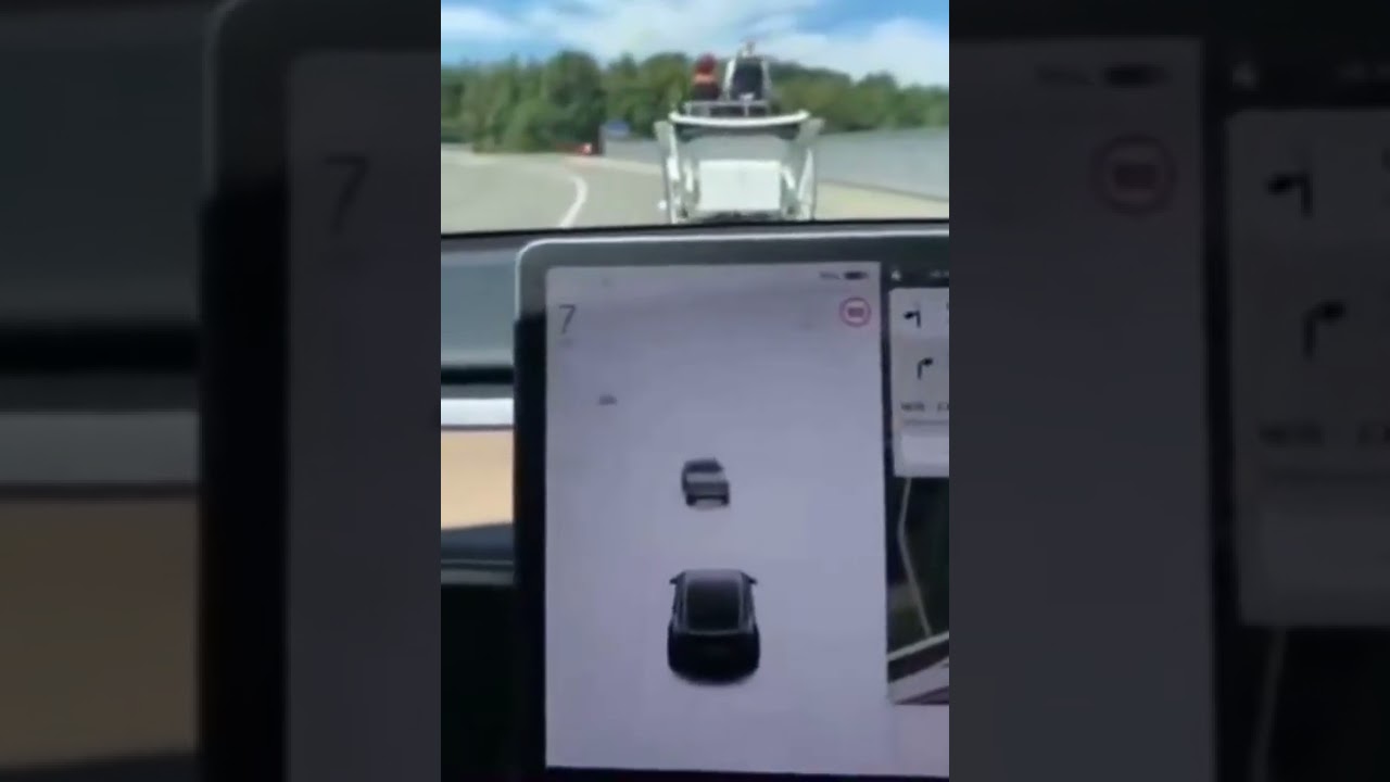 Tesla keeps confusing carriage for semi truck and the GPS glitches out