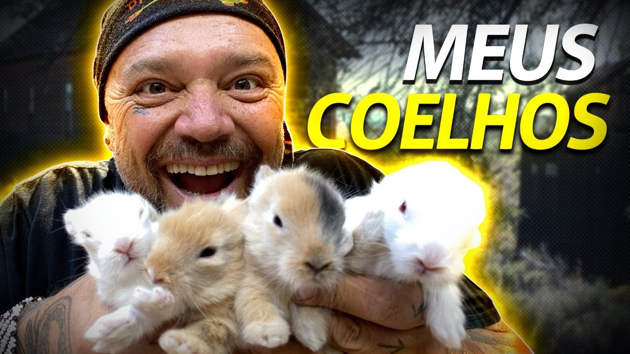 TIVEMOS UMA NOVA NINHADA DE COELHOS LEÃO ANÃO! | A CASA DOS BICHOS