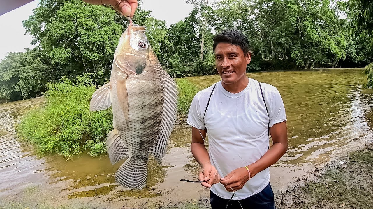 Así Pescamos Tilapias Usando Anzuelo y Lombriz en un río Crecido