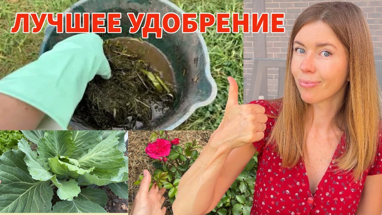 УДОБРЕНИЕ СВОИМИ РУКАМИ для подкормки и обработки от болезней. ЭТО КРУЧЕ БРОДИЛОВКИ