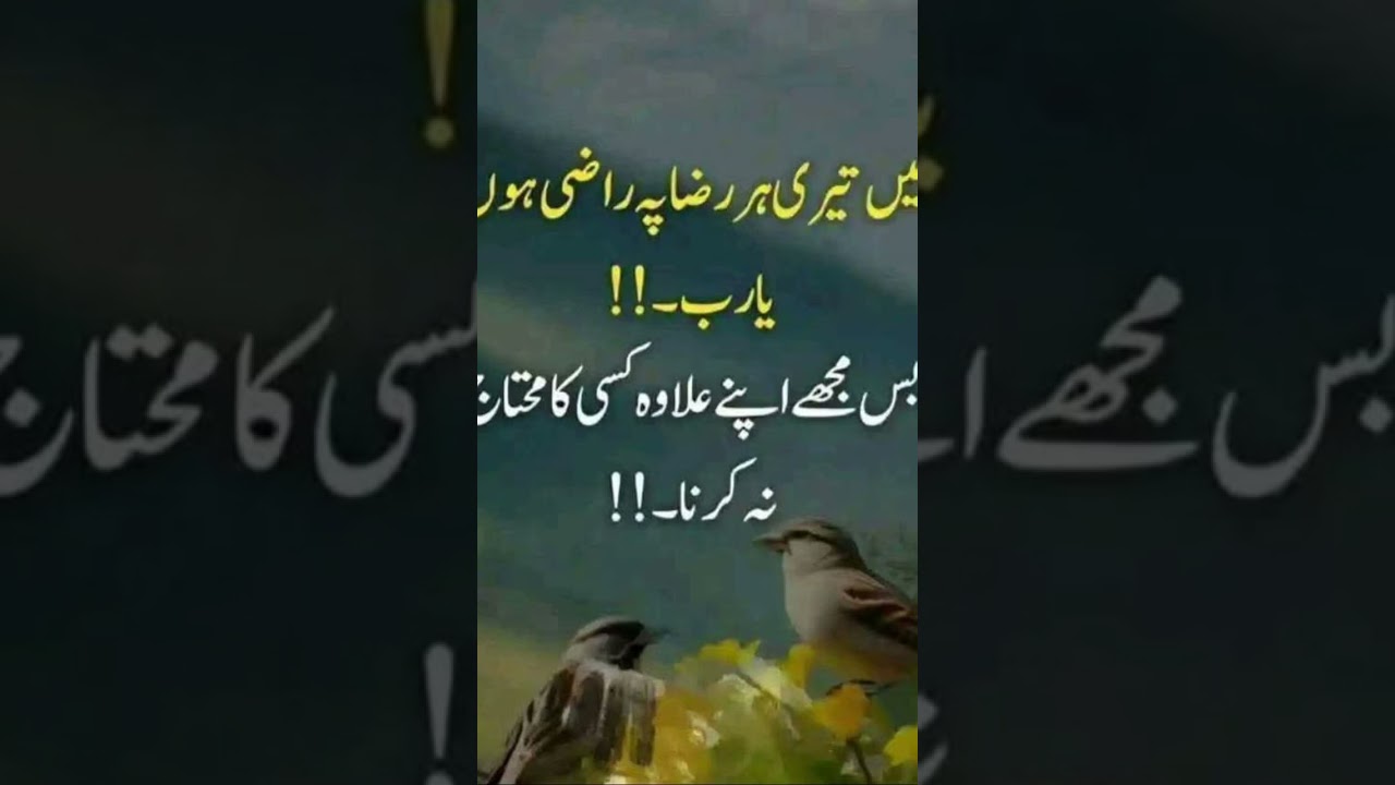 Ameen Suma Ameen # wrait Ameen # Short video #