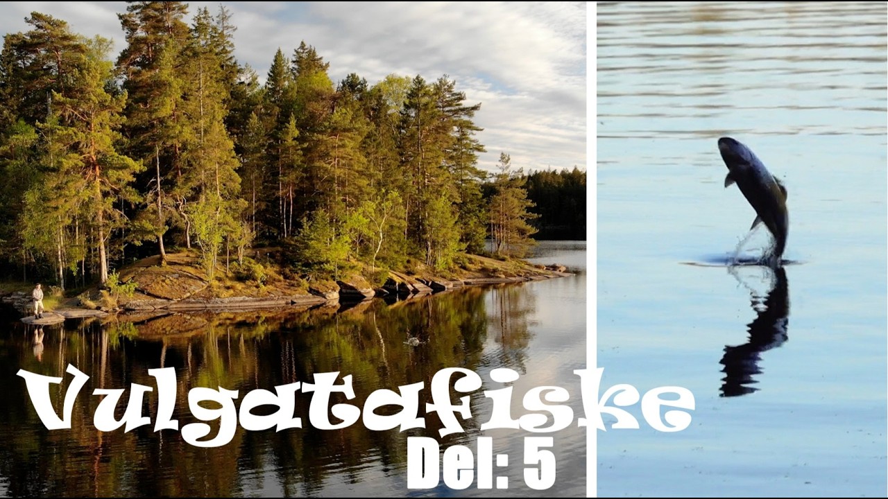 Flugfiske i Vilda Risveden - Vulgatafiske Del: 5