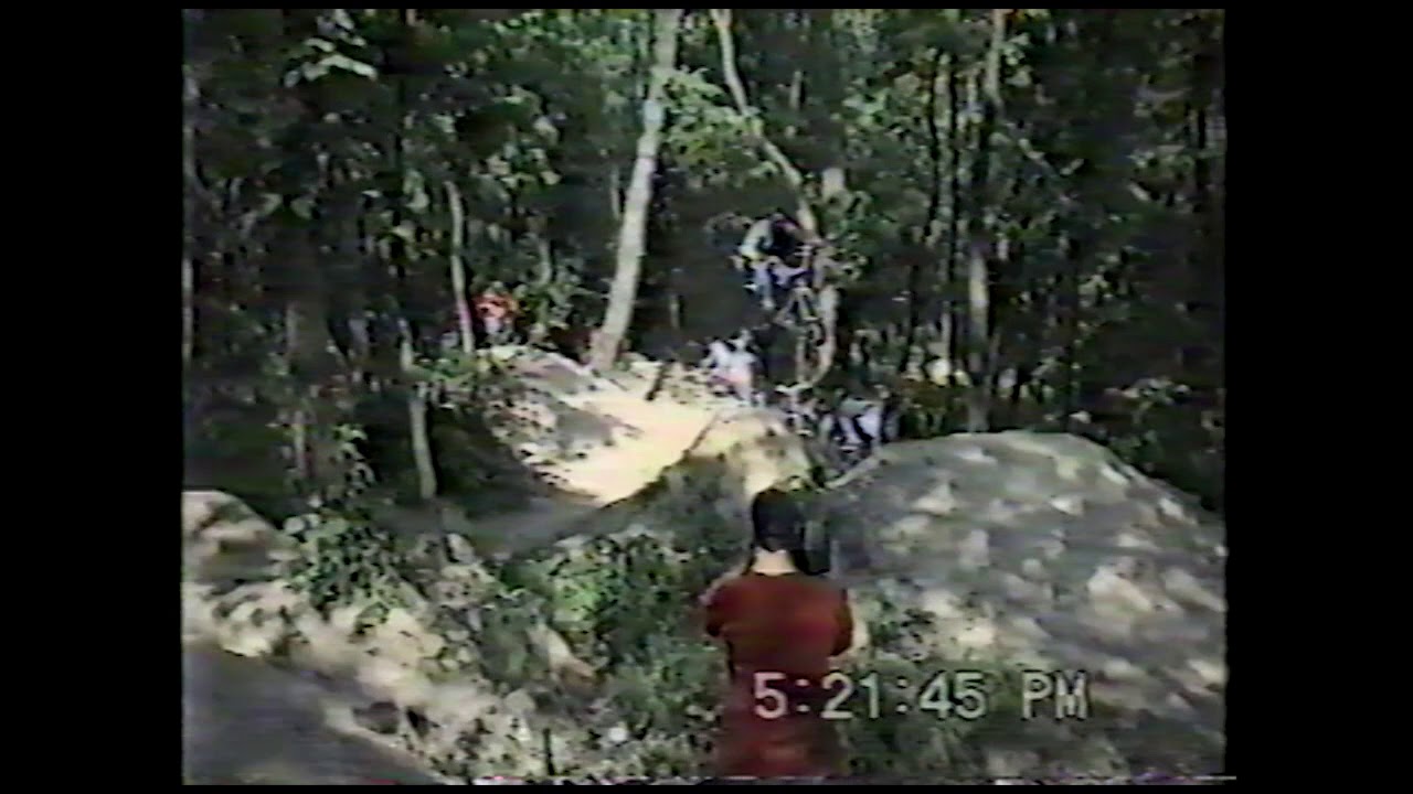 Push 1995