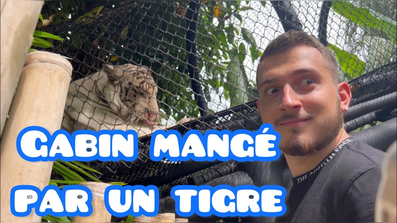 Épisode 6: le zoo de Bali !