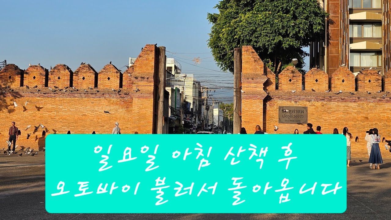 타패문 산책, 숙소로 오는길 볼트로 오토바이 호출하여 치앙마이 거리를 촬영하였습니다.