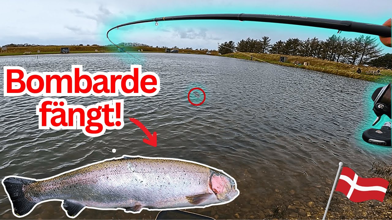 Dicke Lachsforellen im Herbst in Dänemark 🇩🇰 | Bombarden-Action am Loch Nees Put & Take 🔥