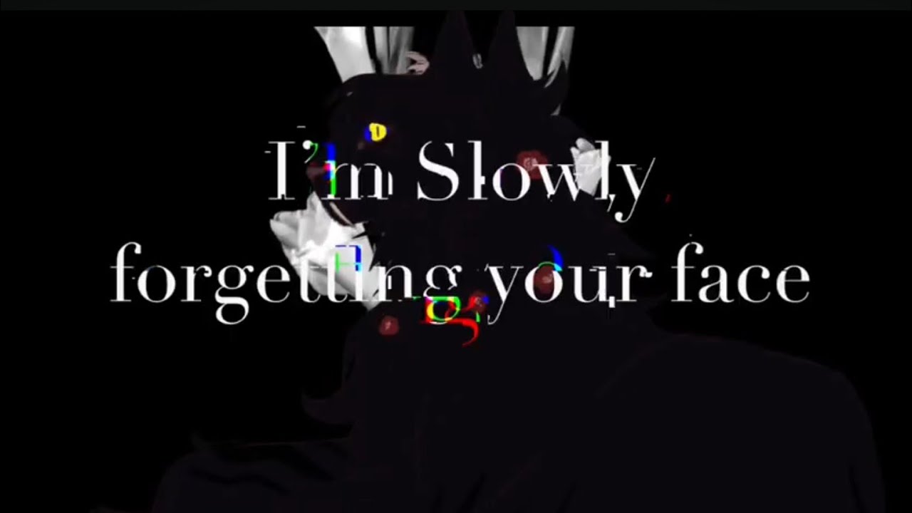 I'm Slowly Forgetting your Face | Read Desc