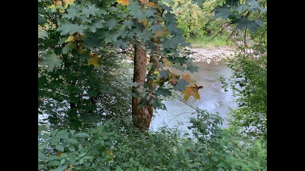 Санаторий «Горная Тисса», прощай 😇