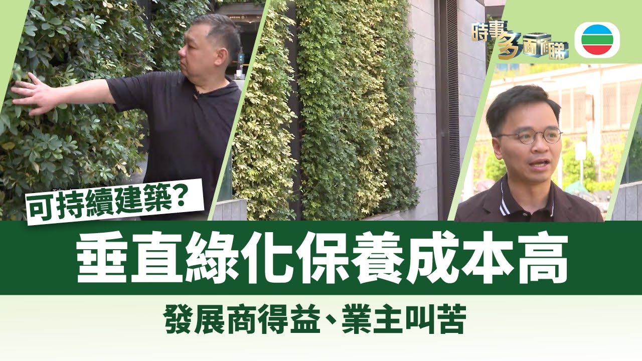 時事多面睇｜用垂直綠化換樓面豁免　發展商將保養成本轉嫁業主｜2025年8月19日｜無綫新聞 ｜TVB News