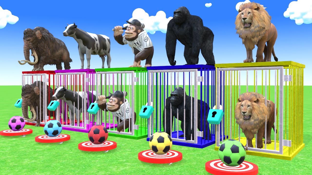 Long Slide Game With Elephant Gorilla Buffalo Hippopotamus Tiger - 3d Animal Game - Funny 3d Animals