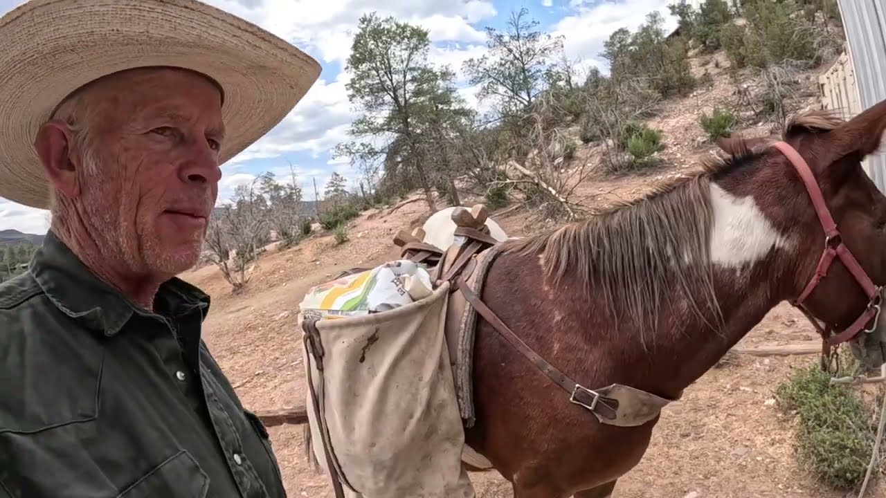MULE PACKING BOX VS DIAMOND HITCH