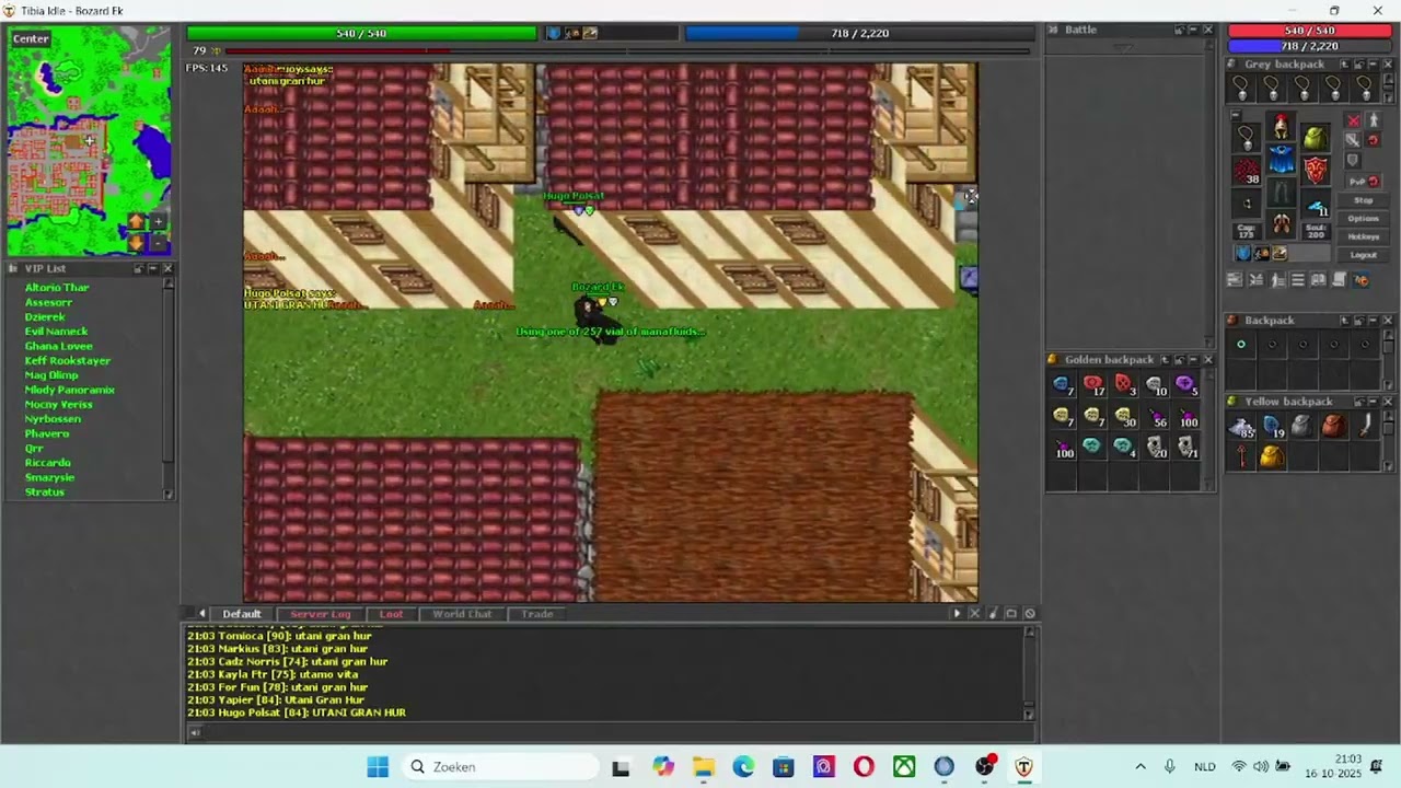 Tibia Idle Guild Bracia