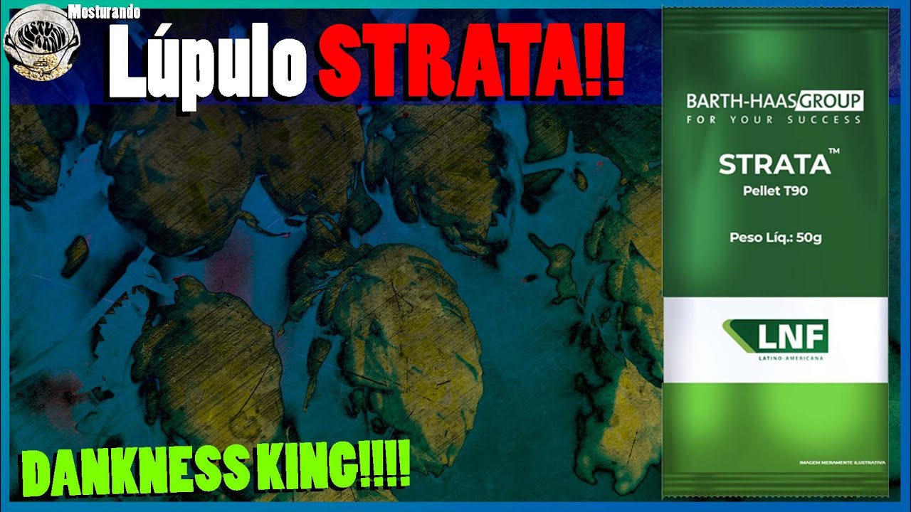 L&uacute;pulo STRATA!!!! Esse tem DANKNESS!