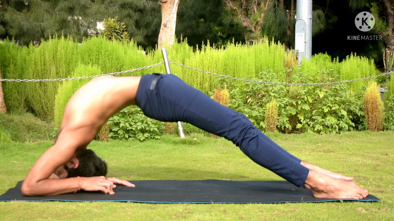 | Dwi Pada Viparita Dandasana | For Begginners | Tonic For Emotionally Disturbed | #youtube |
