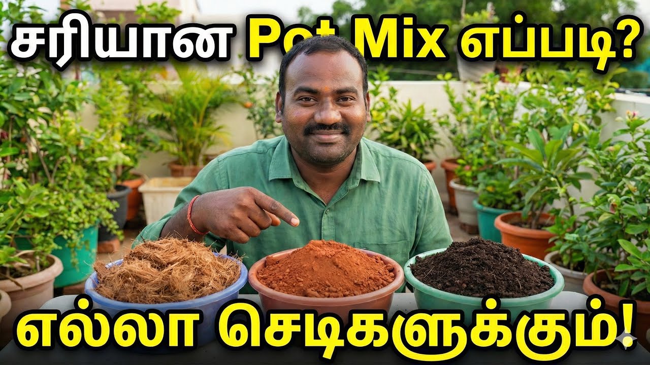 செடிகள் சும்மா பூத்து குலுங்க இந்த மண் கலவை போதும்! 🌿 Best Pot Mix for All Plants