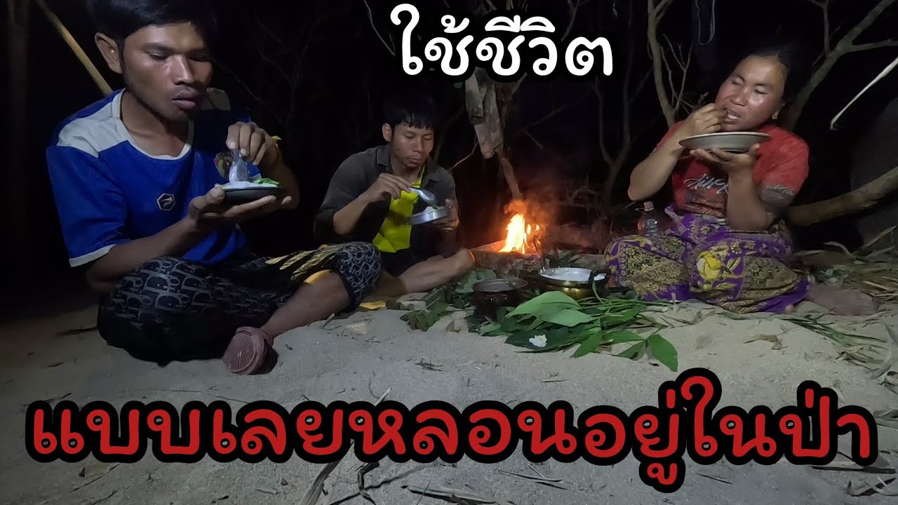 นอนป่าหาอยู่หากิน