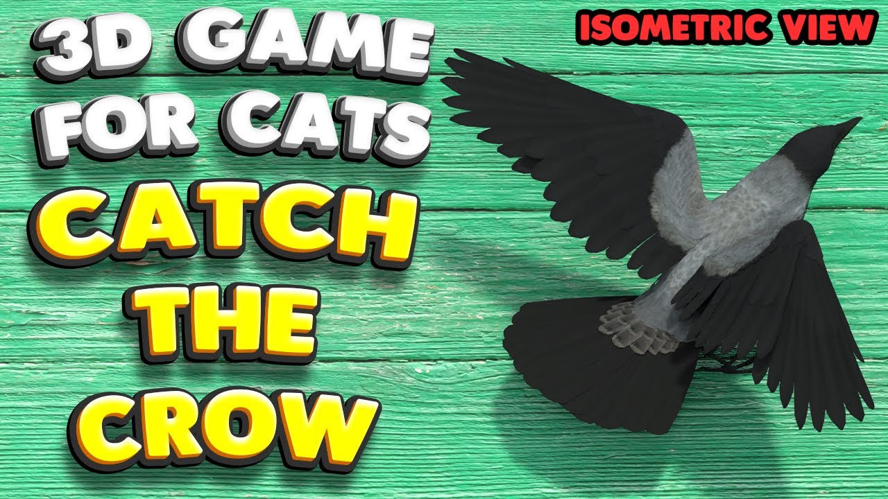 3D game for cats | CATCH THE CROW (isometric view) | 4K, 60 fps, stereo sound