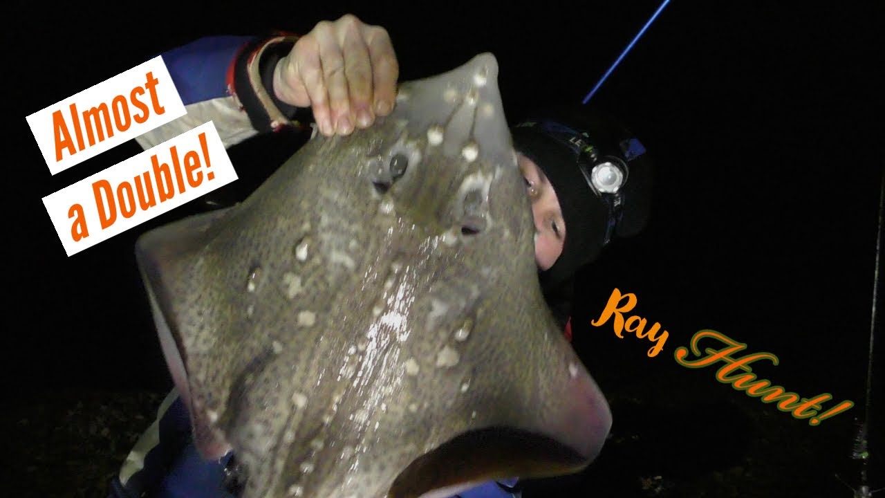 Lockdown 3 Short Evening Session// Second Ray of The Year// ALMOST A DOUBLE!