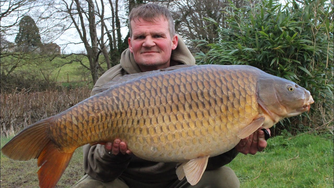 Carp Fishing ~ Elphicks North Lake 48hrs ~ 5 CARP OVER 39lb!!