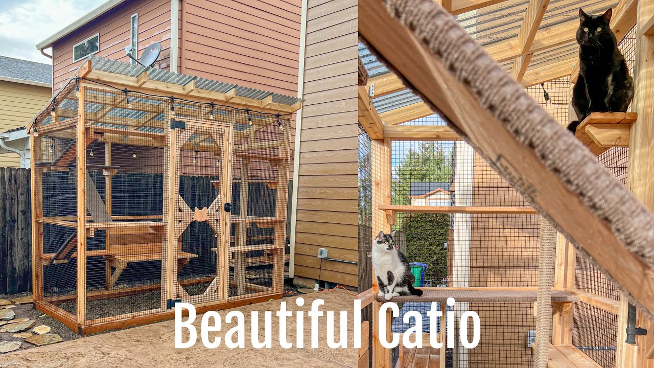 Beautiful Catio for 3 happy cats 🐱🐾