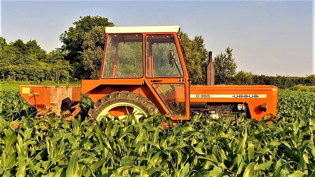 Druga kultivacija i prihrana kukuruza