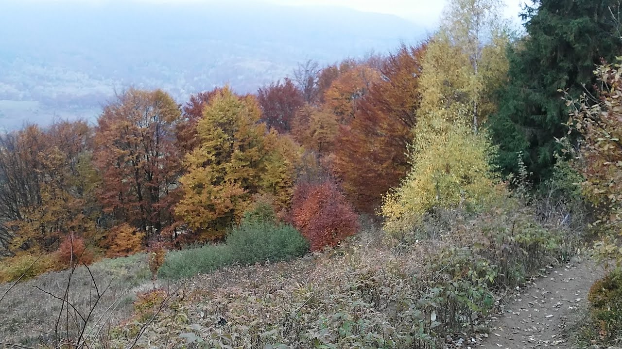 Bieszczady jesień 2015 Połonina Caryńska