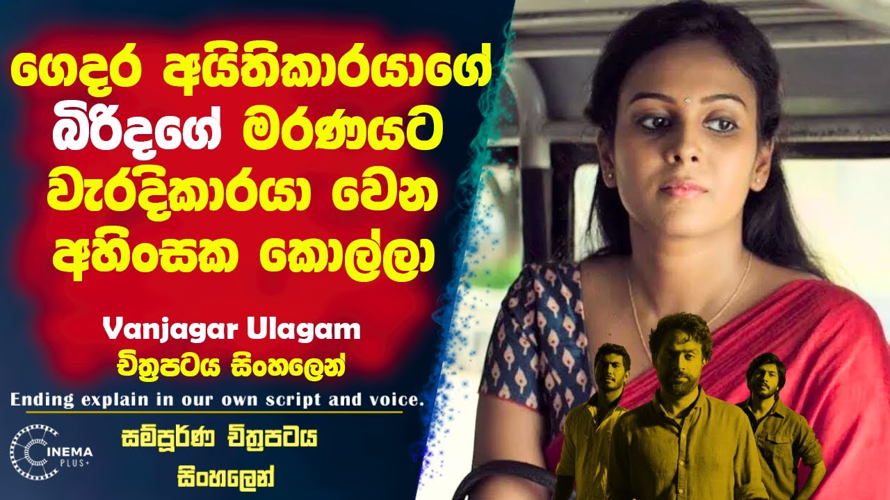ගෙදර අයිතිකාරයාගේ බිරිඳගේ මරණයට වැරදිකාරයා වෙන අහිංසක කොල්ලා! Cinema Plus Film Review 2024