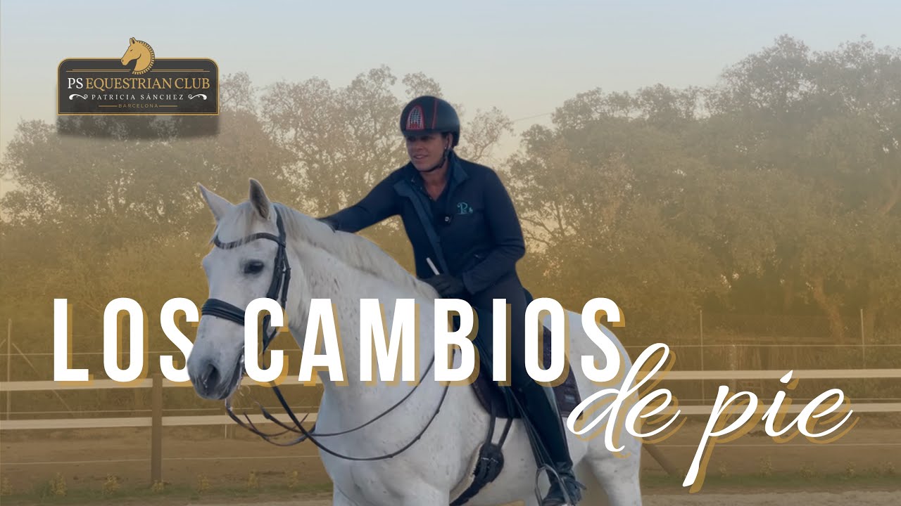 Los Cambios de Pie