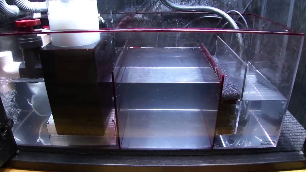Trigger Systems Custom Sump Refugium Review
