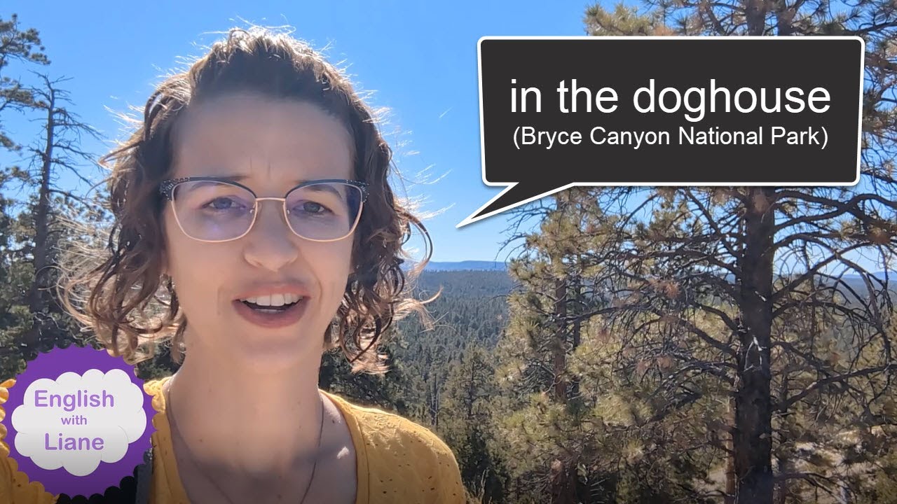 Idiom - in the doghouse