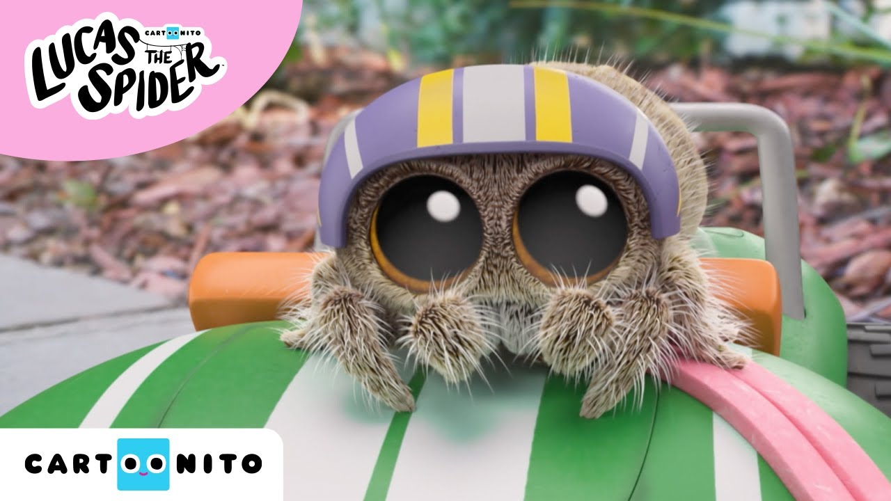 Lucas den lille edderkop | Cartoonito | Tegnefilm for b&oslash;rn