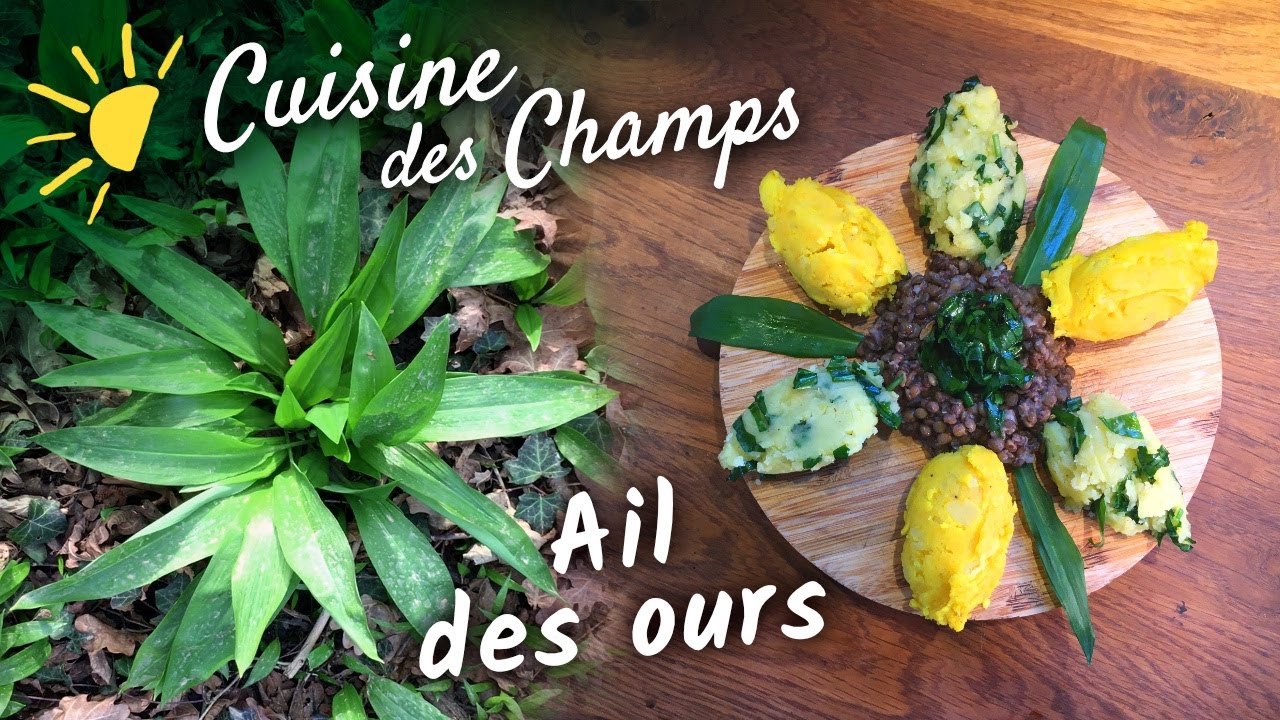 Cuisiner de saison en mars | Pesto d'ail des ours frais