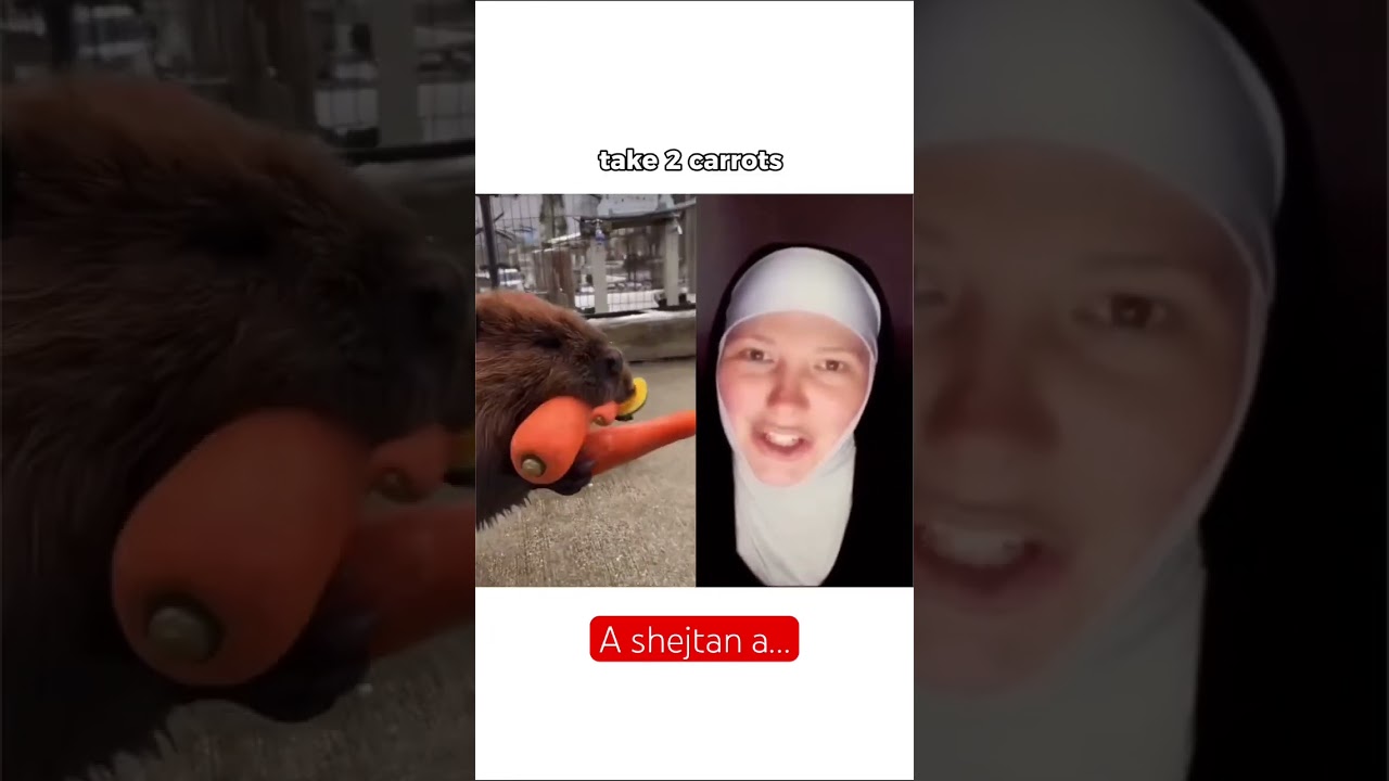 #buchipodcast