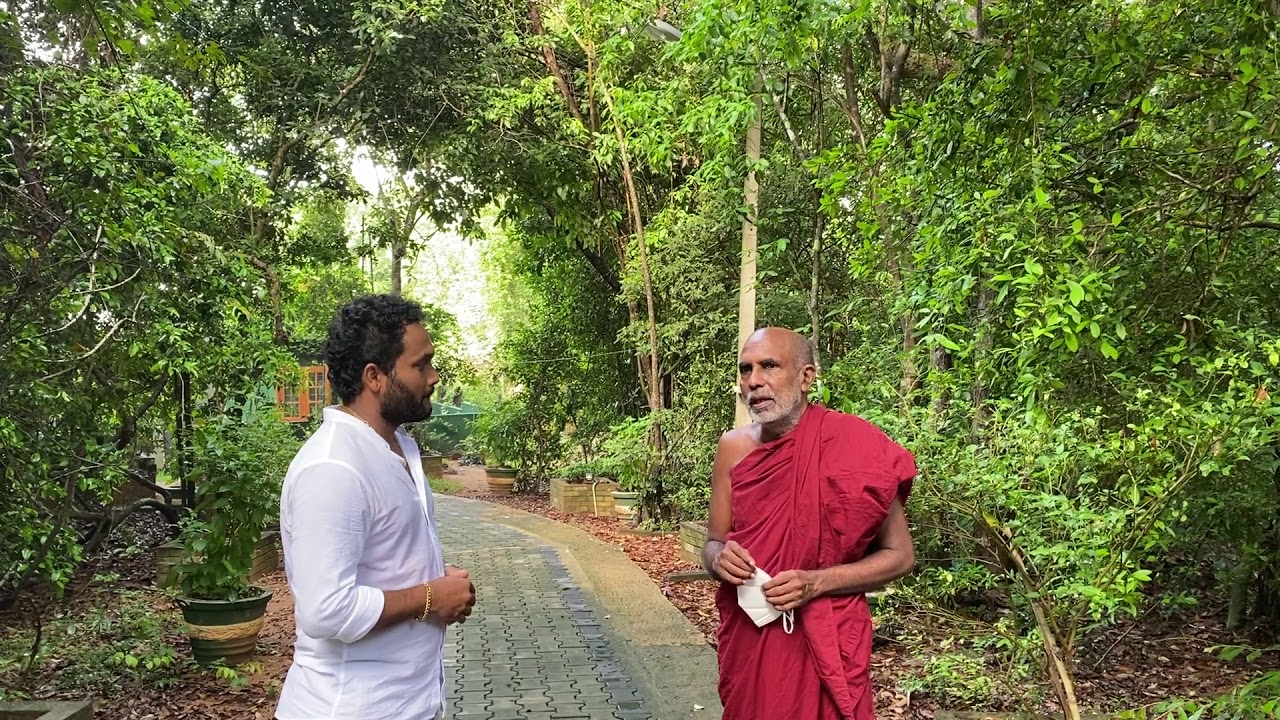 Jathika Namal Uyana | ජාතික නාමල් උයන