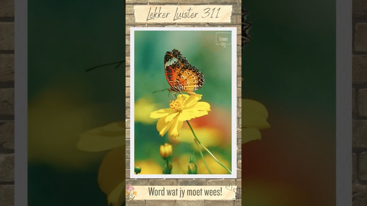 LEKKER LUISTER 311 - WORD WAT JY MOET WEES!
