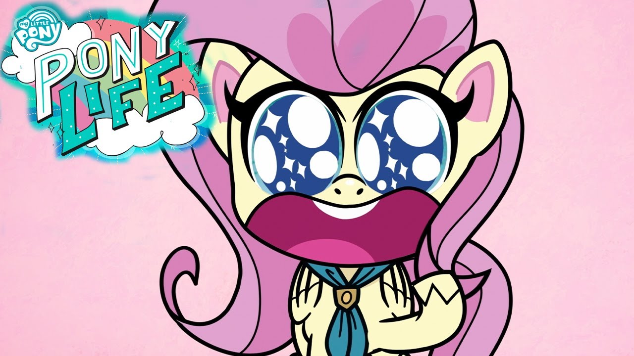 My Little Pony en español NUEVA SERIE: PONY LIFE 🦄 La vía menos trotada | Episodio Completo