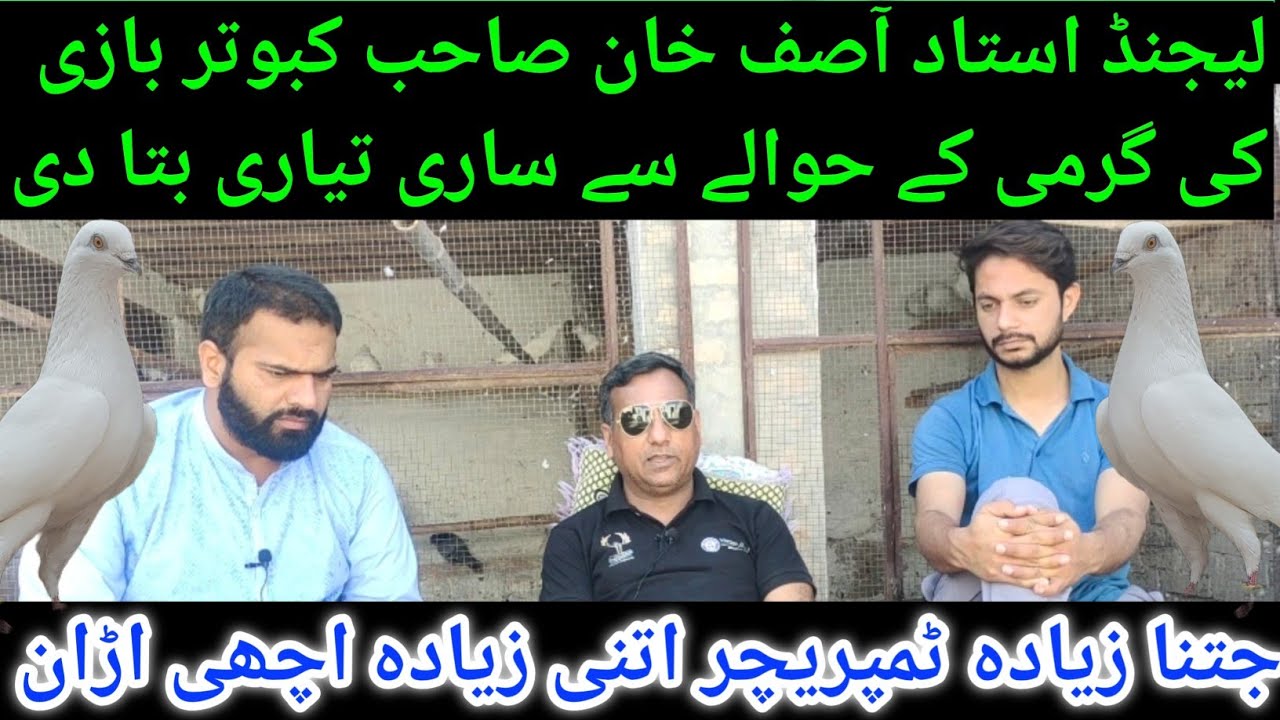 INTERVIEW LEGEND USTAD ASIF KHAN SAB GARMI KE KABOOTAR BAZI PAR TIPS || KABOOTAR BAZI YAZMAN
