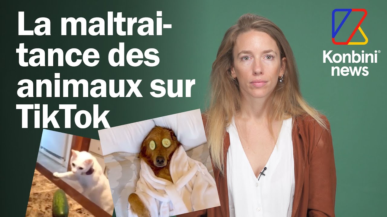 Non, n’essaye pas de faire le buzz sur TikTok avec ton animal !