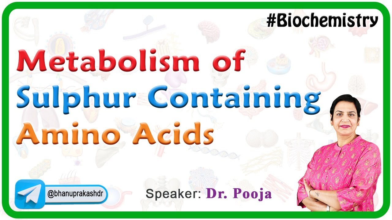 Metabolism Of Sulphur Containing Amino Acids : Biochemistry