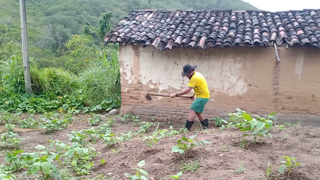1 de outubro de 2025