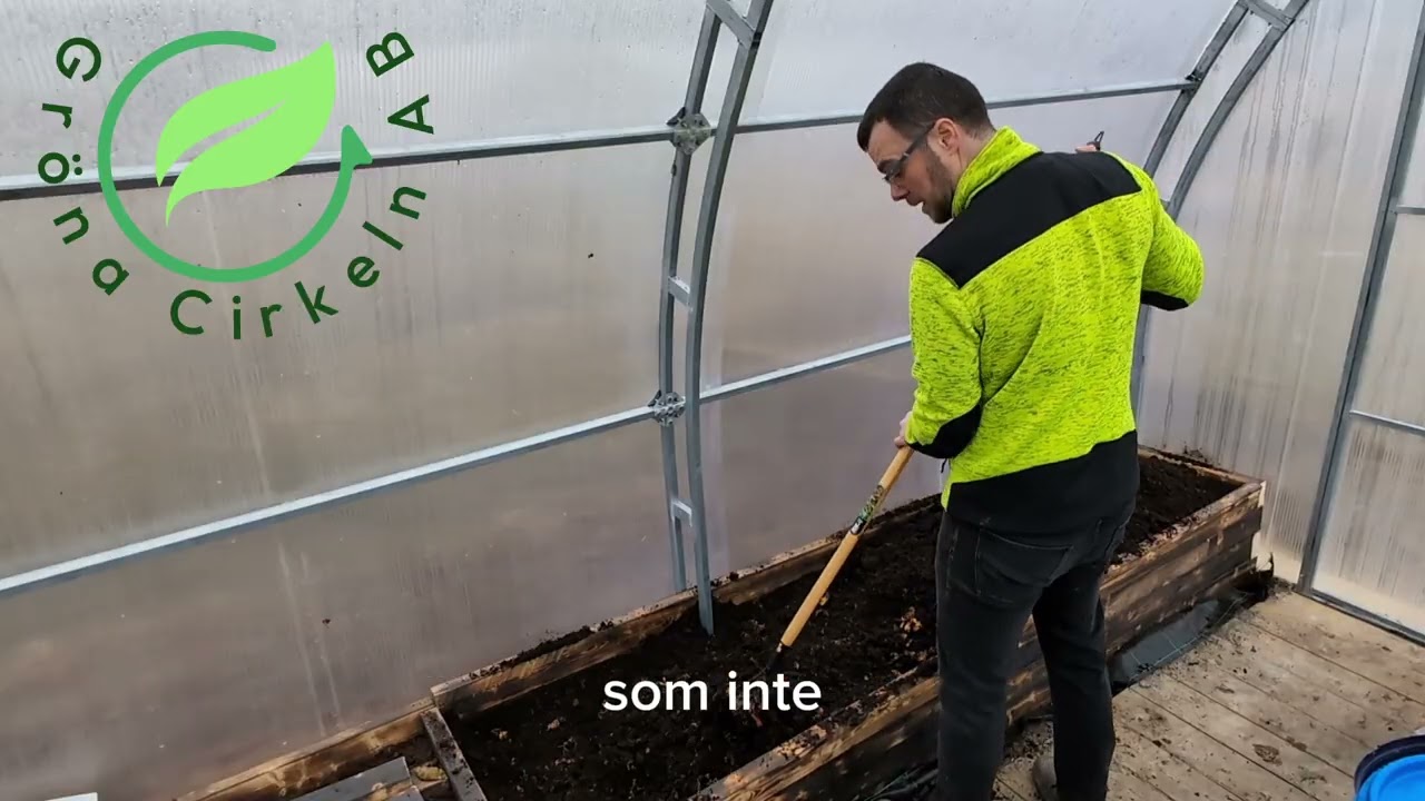 Dags att ladda bäddarna i växthuset - cirkulär odling med Bokashi!